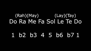 D Phrygian - Solfege - Ear Training