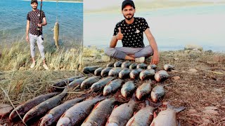 Tarbela dam || Fish Hunting || catch many Fish || kala rahu || @mateenakhtar9089