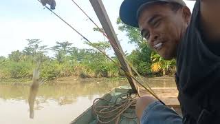 Mancing udang galah pulang bawa Kepiting Ikan Gabus Babon Ikan Nila