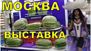 Выставка Цветы-Экспо. Много встреч, радушный прием, подарки и много эмоций