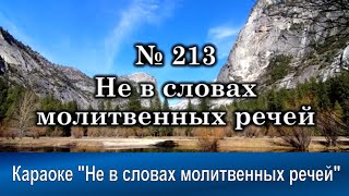 № 213 Не в словах молитвенных речей | Караоке с голосом | Христианские песни | Гимны надежды