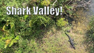 Shark Valley!