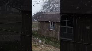 first snow of the year. 🥰 nice and fluffy flakes. #snowfall #indiana #winter #letitsnow