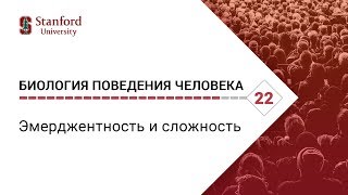 Биология поведения человека: Лекция #22. Эмерджентность и сложность [Роберт Сапольски. Стэнфорд]