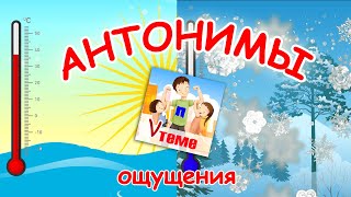 АНТОНИМЫ. Ощущения. Развивающий мультфильм для малышей. Папа v теме