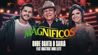 ONDE CANTA O SABIÁ - Banda Magníficos e @MastruzComLeiteOficial  (DVD A Preferida do Brasil)