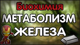 Биохимия. Лекция 32. Метаболизм железа