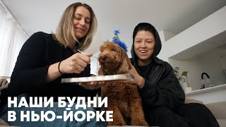 МЕСЯЦ из жизни в НЬЮ-ЙОРКЕ: друзья, мероприятия, распаковки