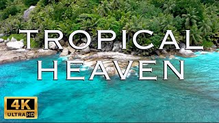 4K Tropical Heaven Ambience / Soothing Nature Sounds / Sea Waves