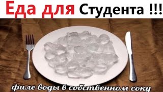 ПРИКОЛЫ! ГОТОВИМ ЕДУ ДЛЯ СТУДЕНТА!!! Улетные МЕМЫ, смешные истории, ШУТКИ от Доми шоу