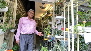 Retirement के बाद Teacher ने की ग़ज़ब की बाग़वानी, हर कोई देखता रह गया 😍 Small Space Garden Tour