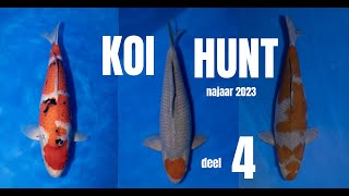 KoiHunt najaar 2023| deel 4 | Torazo event