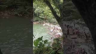 Charco la planta en San Luis