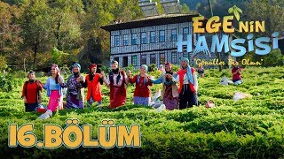 Ege'nin Hamsisi - 16.Bölüm