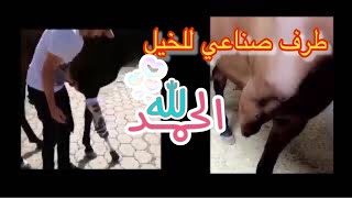 قبل وبعد (سبحان الله ) before and after