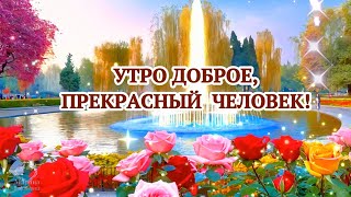 УТРО ДОБРОЕ, ПРЕКРАСНЫЙ ЧЕЛОВЕК!❤️УТРО ДОБРЫМ БУДЕТ ПУСТЬ ВСЕГДА!❤️ДЛЯ ТЕБЯ,ПРЕКРАСНЫЙ ЧЕЛОВЕК!❤️🌹🌹🌹