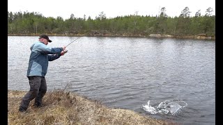 Fiskesesongen er i gang! På jakt etter vårørret