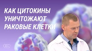 Как цитокины уничтожают раковые клетки