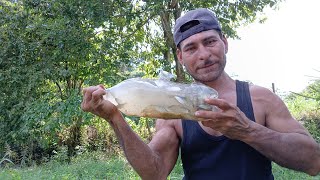 La pesca con botellas se puso buena 😱