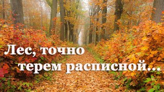 🍂 Иван Бунин. Листопад | Стихи о природе поэтов 20 века