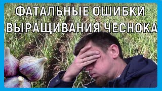 ФАТАЛЬНЫЕ ОШИБКИ ВЫРАЩИВАНИЯ ЧЕСНОКА