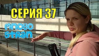 СЕРИЯ 37: Как мы после Турецкого завтрака чуть на автобус не опоздали. Ужин в Израиле