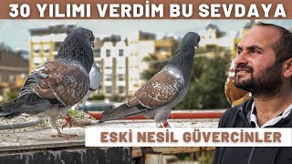 30 YILIMI VERDİM BU SEVDAYA: ESKİ NESİL GÜVERCİN - KEBAPÇI ALATTİN