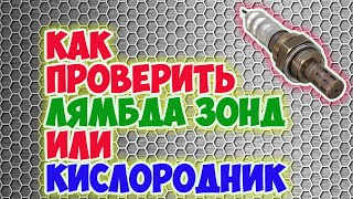 🤷 Как проверить кислородник ЛЯМБД на неисправность. Причины и решение