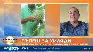 Продадоха първия кралски пъпеш, узрял у нас, на търг за 10 000 лева