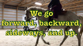 Riding a gray gelding and bay mare.