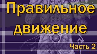 Что такое правильные упражнения? Часть 2/3  [S02E11]