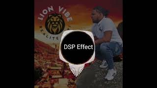 Lion Vibe - Repenti (DSP Effect)