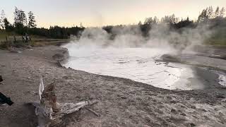 Mud Volcano’s and a Bison