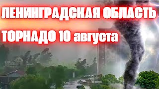 Торнадо в Ленинградской области в городе Тосно разметал все на своем пути