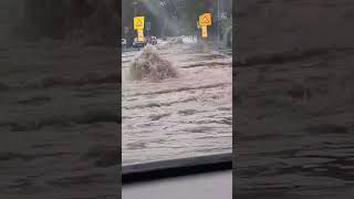 Smederevo danas poplava gejzir autobuska stanica 03/09/2023