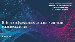 Особенности формирования составного мышечного потенциала действия. Ходулев В.И.