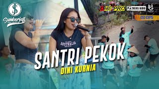 DINI KURNIA~SANTRI PEKOK ~NEW ONE PRO ~Temu kangen sumberjati