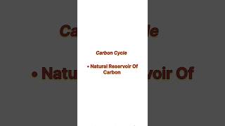 Natural reservoir of carbon !! #neet #neet2025 #botany #biology #aiimsBotanyNeet