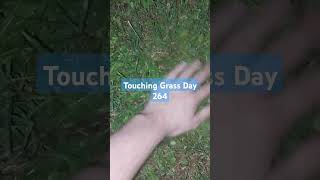 Touching Grass Day 264