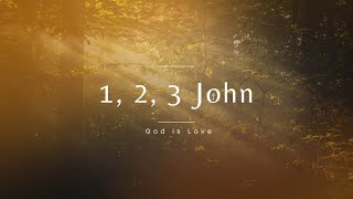 244 | The One | 1 John 1:1-2:27