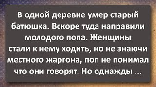 Молодой Поп! Сборник Самых Свежих Анекдотов! Юмор