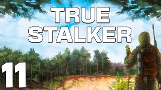 S.T.A.L.K.E.R. True Stalker #11. Бандитская Долина