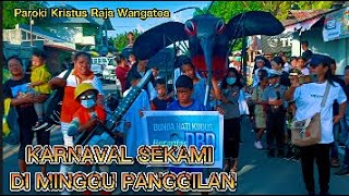 KARNAVAL SEKAMI DI MINGGU PAMGGILAN II Paroki Kristus Raja Wangatoa Lembata #lewoleba #karyavince