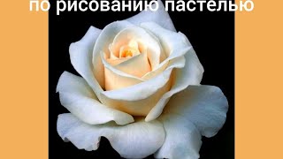 Рисуем пастельными карандашами цветок розу.