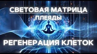 АКТИВАЦИЯ СИЯНИЯ ЦЕНТРОСОМЫ | КВАНТОВАЯ СВЕТОВАЯ МАТРИЦА | РЕГЕНЕРАЦИЯ КЛЕТОК | ПЛЕЯДЫ