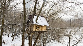 НОЧУЮ ЗИМОЙ В ДОМЕ НА ДЕРЕВЕ | ДОМ ПОСТРОЕН