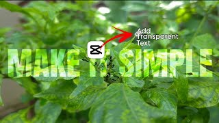 How to Make and Add Transparent Text in CapCut | #capcut #howto