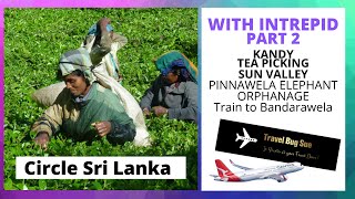 CIRCLE SRI LANKA:- An iNtrepid Tour:-PART 2. Tea Picking, Spice Farm, Kandy