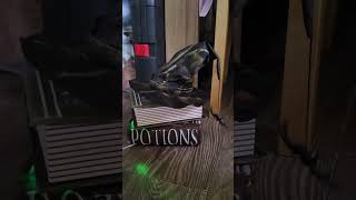 Animated Potions Books