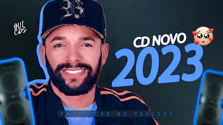 UNHA PINTADA CD NOVO - 2023 ATUALIZADO, PRA TOCAR NO PAREDÃO!